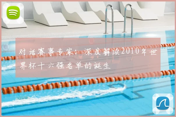 对话赛事专家：深度解读2010年世界杯十六强名单的诞生