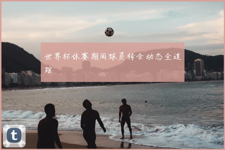 世界杯休赛期间球员转会动态全追踪