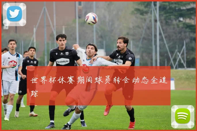 世界杯休赛期间球员转会动态全追踪