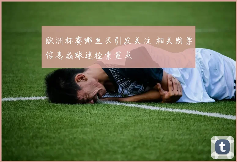 欧洲杯赛哪里买引发关注 相关购票信息成球迷检索重点