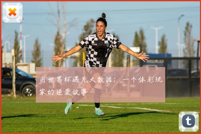 当世界杯遇见大数据：一个体彩玩家的逆袭故事