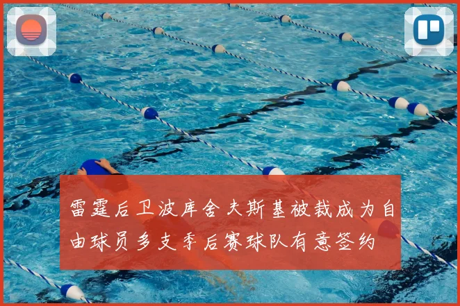 雷霆后卫波库舍夫斯基被裁成为自由球员多支季后赛球队有意签约