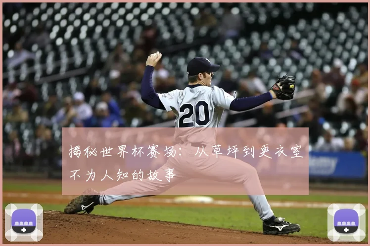 揭秘世界杯赛场：从草坪到更衣室不为人知的故事