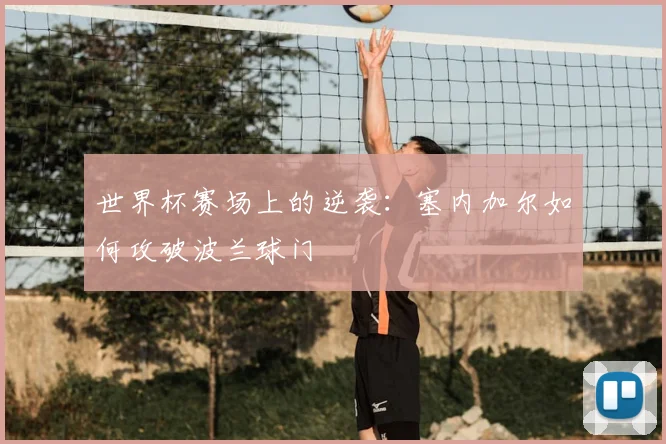 世界杯赛场上的逆袭：塞内加尔如何攻破波兰球门