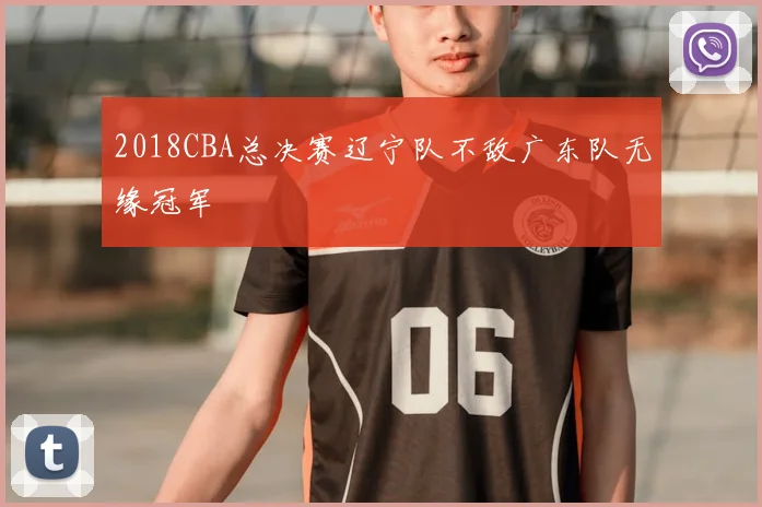 2018CBA总决赛辽宁队不敌广东队无缘冠军