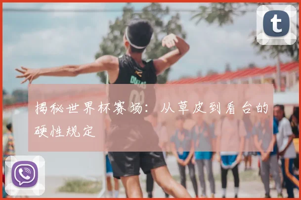 揭秘世界杯赛场：从草皮到看台的硬性规定
