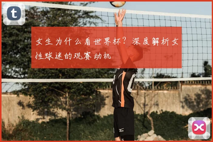 女生为什么看世界杯？深度解析女性球迷的观赛动机