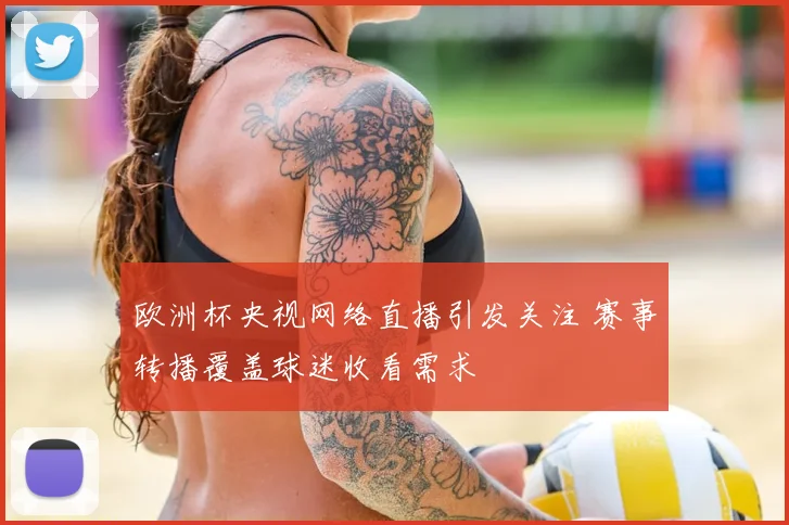 欧洲杯央视网络直播引发关注 赛事转播覆盖球迷收看需求