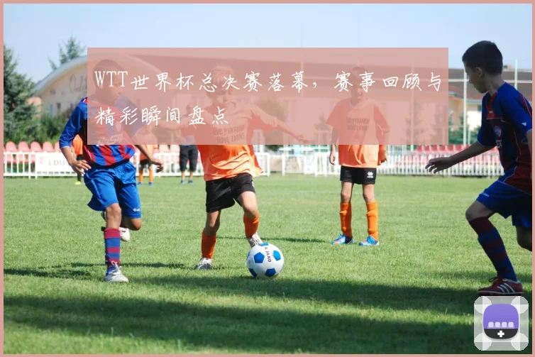 WTT世界杯总决赛落幕,赛事回顾与精彩瞬间盘点