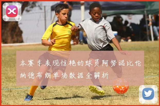 本赛季表现惊艳的球员阿努诺比伦纳德布朗单场数据全解析