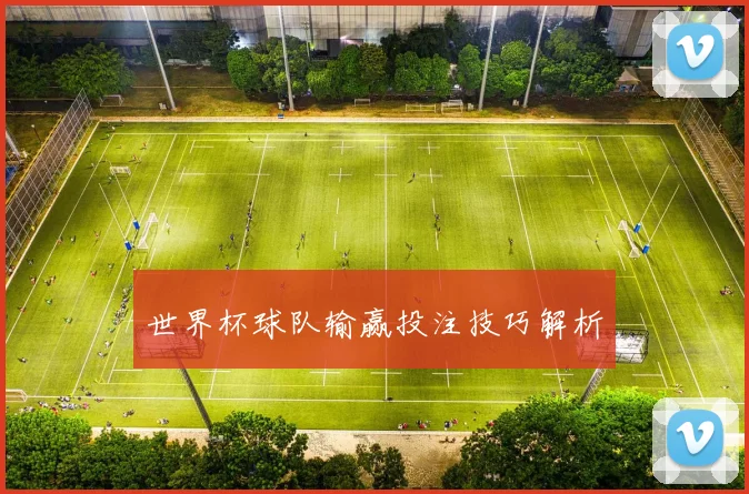 世界杯球队输赢投注技巧解析